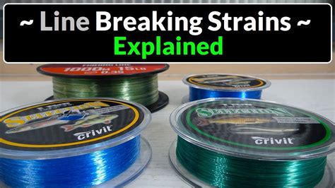 thickness of 10lb test fishing line|fishing line breaking strain chart.